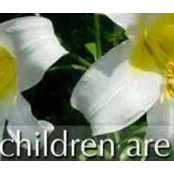 Candy DiMaggio's photo