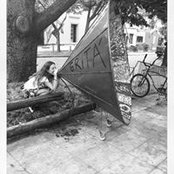 Vicky Gallo's photo