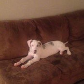 Guillermo Salazar's photo