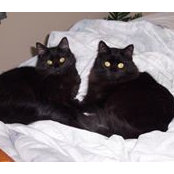 Karen Klinger's photo