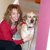 Susan Younkin's photo