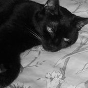 Debi Eustis's photo