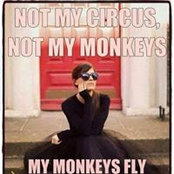 Marleen Birky's photo
