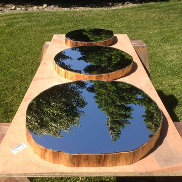 Custom Cut Mirror on Balm of Gilead Tree Slices