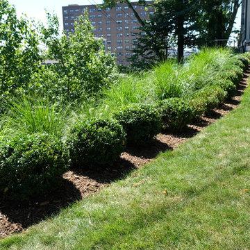 Metropolitan Slope Design - South Boston