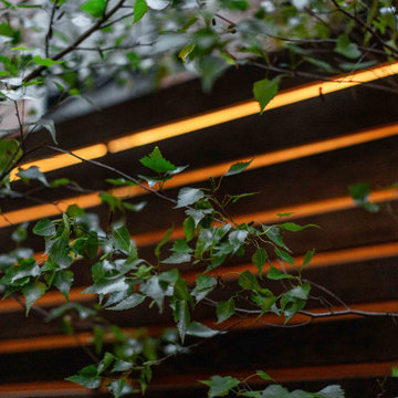 Beacon Hill Courtyard