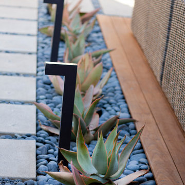 Outdoor Oasis