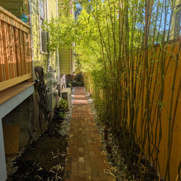 South Seattle Backyard