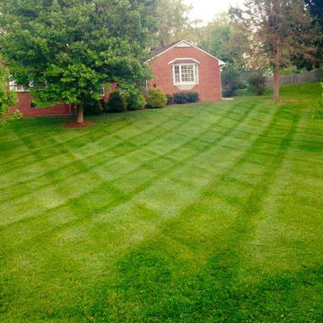 Our Work