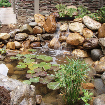 Water Features