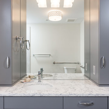 Gale Contemporary Bath in Ann Arbor, Michigan