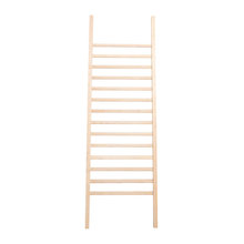 Storage Ladders