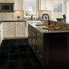 MSI T1212HN 12" x 12" Square Floor and Wall Tile - Honed Visual - - Premium