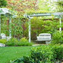 Rhett Back Yard