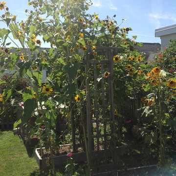 Vegetable & Herb Gardens