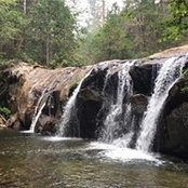 Anne Decker-Beck's photo