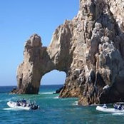 Bonnie Petersen's photo