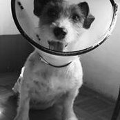 Photo de Mitzy Lauraya