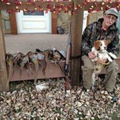 Brian Wolf's photo