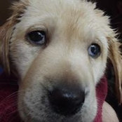 Foto von Bubba Jay