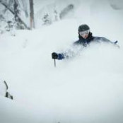 Robb Shepard's photo
