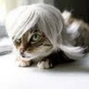 Marie Rienzo's photo