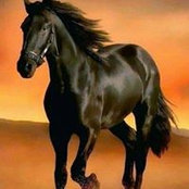 Ammar Alnajjar's photo