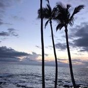 Sylvia Yanas's photo