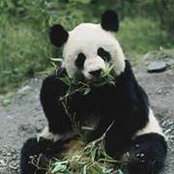 Judy Chetwynd's photo