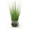 Waterlook® Two Tone Green Grass in Square Glass Cube