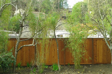 This is an example of a mediterranean full sun backyard landscaping in San Francisco.