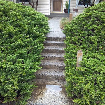 Exterior Cleaning Projects