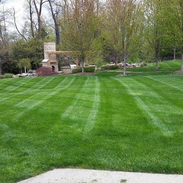 Our Work