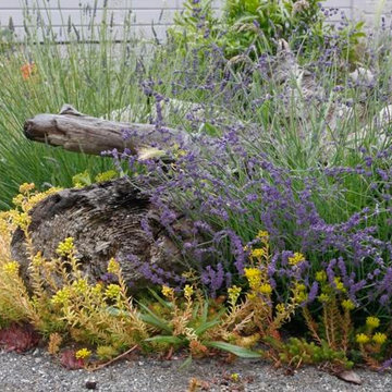 Whidbey Island Seaside Retreat