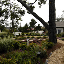 Landscape Ideas