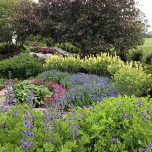 Landscape Ideas