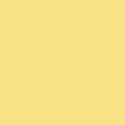 Dayroom Yellow No.233 - Paint
