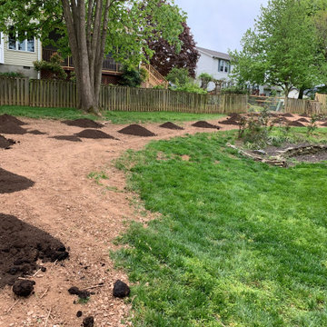 Lawn renovation
