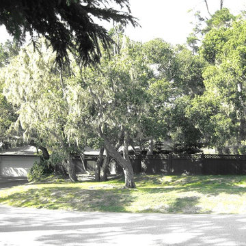Pebble Beach Gate and Fencing