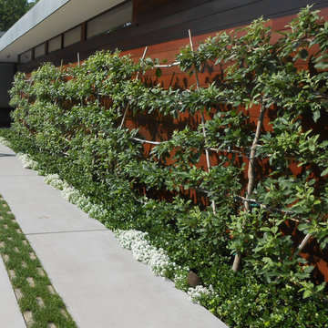 Contemporary Residence