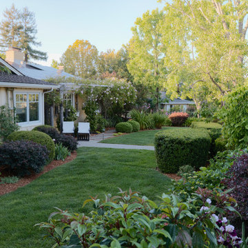 Backyard Lawn Path with Layered Planting
