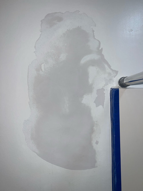 Peeling paint Trying to repaint bathroom