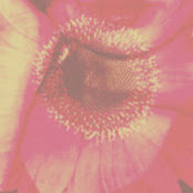 J Riettes foto