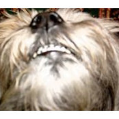 Peggy Kimball's photo