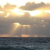 Anthony Farrell's photo