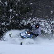 Brandon Jaruzel's photo