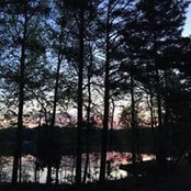 Ann Chambers's photo