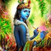 Gopal Cohen's photo