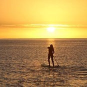 Emlen Ilha Gaudino's photo