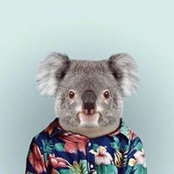 Ch Av's photo